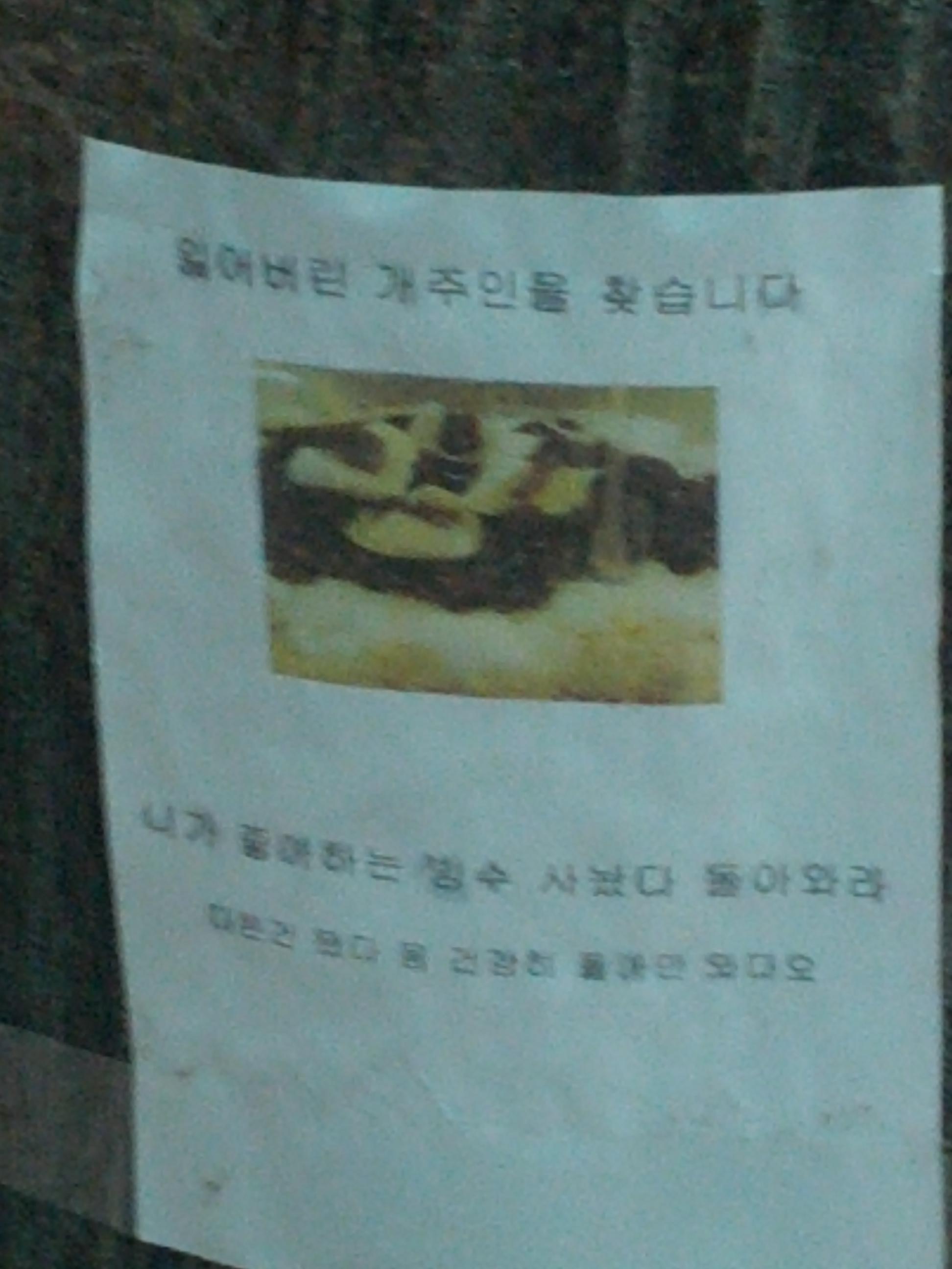 자동출력된 이미지입니다.