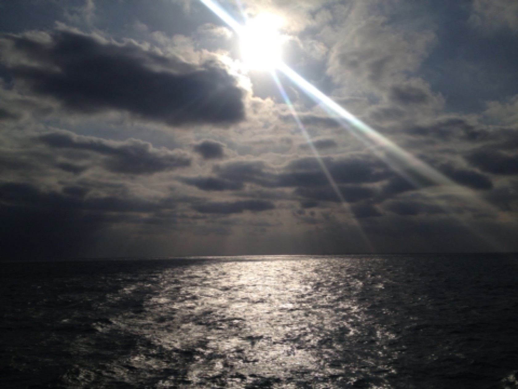 자동출력된 이미지입니다.