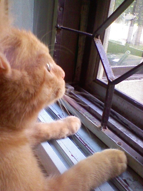 자동출력된 이미지입니다.